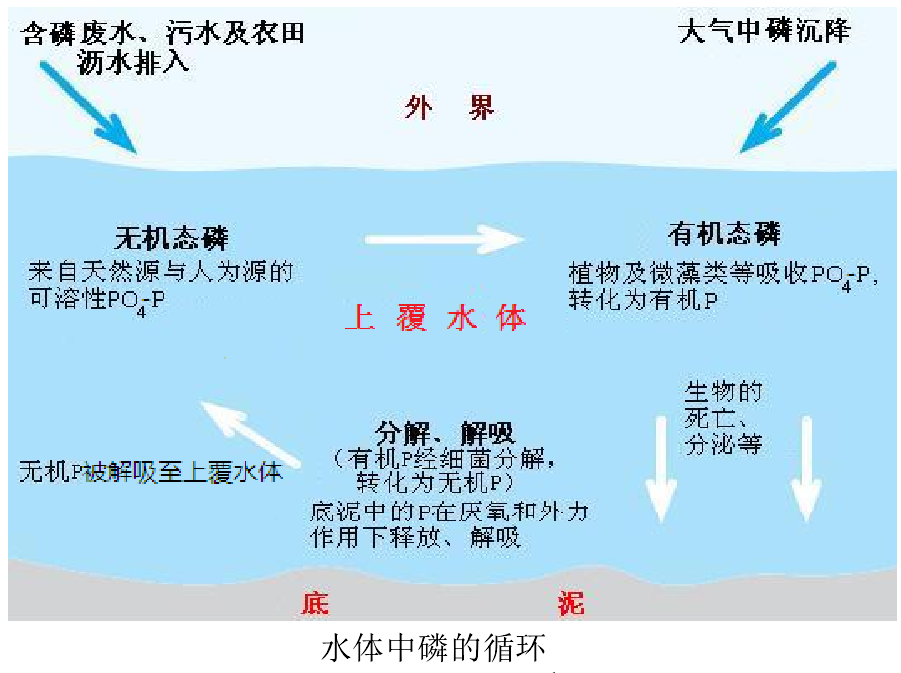 锁磷剂使用图片1-20250115.png